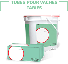 Dry Cow Tubes green withlable